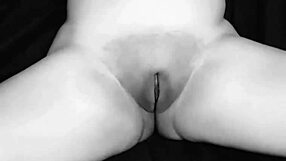 always swollen pussy