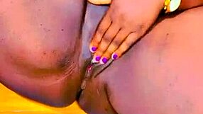 Sunday Do Good Update 383 from August 7 2024