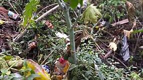 are you crazy horny to give your wet pussy on the street?