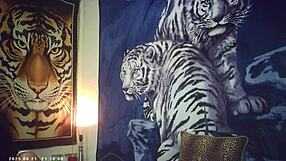 behind the scenes of porn shoot maxxx loadz stroking with the magic motion