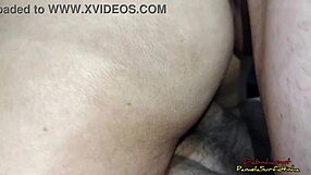 nympho gets double penetrated by two stallions