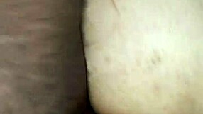 spanish concubine sunshine nuttin rides big daddy dick