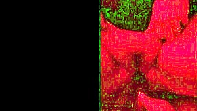 Latina milf uses dildo in homemade pov