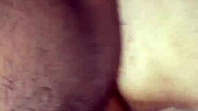 spanish concubine sunshine nuttin rides big daddy dick