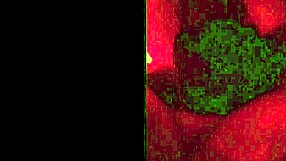 Latina milf uses dildo in homemade pov