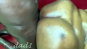 Missthicobsession Begs For Rough Ass Fucking