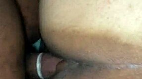 spanish concubine sunshine nuttin rides big daddy dick