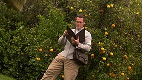 Phoebe and Vanessa Lynn Deliver Steamy Double Blowjob