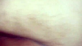 spanish concubine sunshine nuttin rides big daddy dick