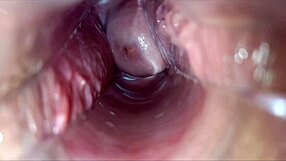 pulsating vagina orgasm throbs wildly inside watch it spasm and clench hard!