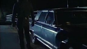 Smash! Colt Steele Rules Night Train Ride