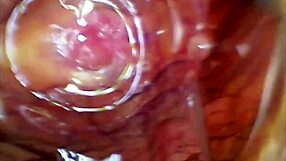 Real Pussy Orgasm Captured Inside With Sperm Juice Under Microscope!