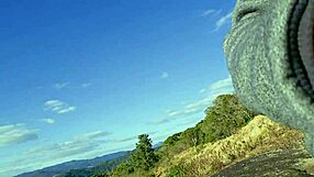 tour guide flashes cock to tourist up on the mountain
