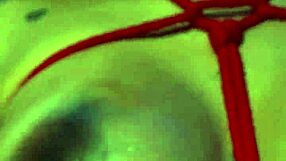 Silvana Lee's oiled pussy bound tight for bondage pounding