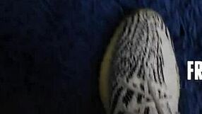 Stepmom Nickey Huntsman Gives Anal After Nudes Caught by Joshua Lewis