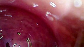 Real Pussy Orgasm Captured Inside With Sperm Juice Under Microscope!