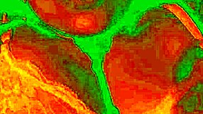 exotic colombian bluee flashes her tight pussy getting licked to horny orgasm face