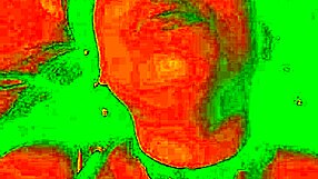 exotic colombian bluee flashes her tight pussy getting licked to horny orgasm face