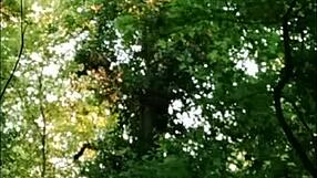 french milf slave bent over in forest for rough dildo doggy