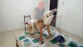 halloween night i spot sexy bunny looking like stepmom in slutty lingerie gonna fuck her