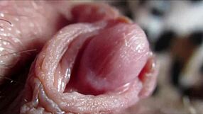 i watch my huge clit pulse in orgasm closeup