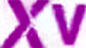 Violeta Garcia's first time gaping anal on BBC balls deep leaves her shaking with orgasm