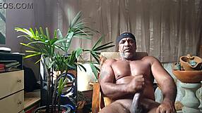 brazilian bear kojac strips down for a solo handjob tease in underwear