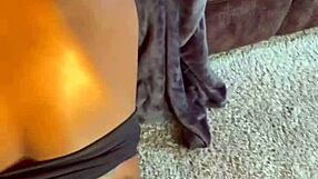 Fun in the Sun Features Vegancooooch's Wet Pussy and Big Black Cock Pounding