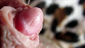 i watch my huge clit pulse in orgasm closeup