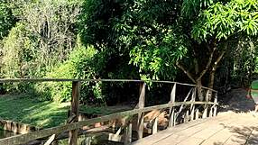 fucking her tight pussy behind trees in public park with throbbing bbc cumshot deepthroat