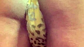 dig this sexy black ass shaking and bouncing wildly