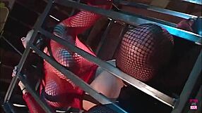 hey gianna michaels isn't your big natural tits perfect for doggy titty fuck cumshot?