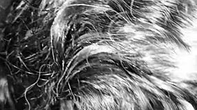 rhonda deepthroats my monster cock swallowing every drop