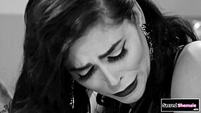 trans widow domino presley barebacks cop licking ass