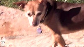 vanessa cage shows off her tits pussy backstage in the cage