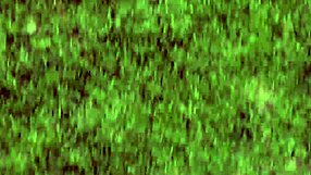 Teen Stepdaughter Bent Over Deepthroated Doggystyled Monster Cock Slammed