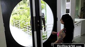 Hey hubby, watch your tattooed wife stretch her ass on massive bbc?