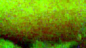 Watch MZSlippery Finger Her Shaved Fat Pussy In Mirror Frenzy!