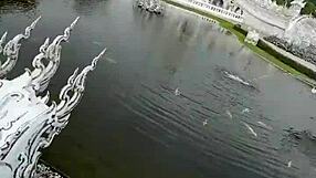 narrative journey to chiang rai's white temple unveils thailand's magical thai wonder