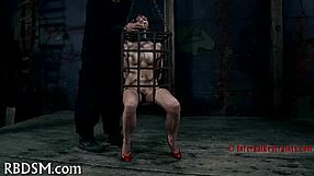 punish that tight pussy hard you bdsm femdom slut?