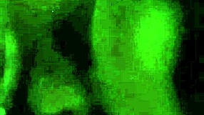 master deepthroat secrets unlock monster black cock