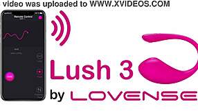 A group of webcam girls chats casually sharing fun moments online with viewers