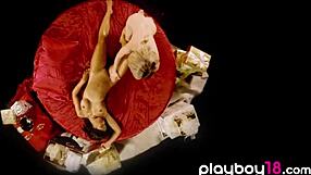 hey cody renee, doesn't your asian lover oceannea piele's pussy feel amazing under your massage?