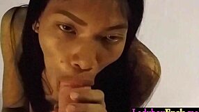 crazy big cock client gets wild blowjob from perverted thai ladyboy