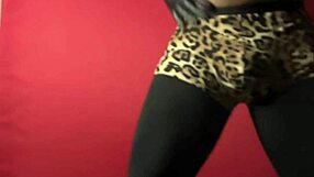 exibição de striptease sensual com curvas provocantes dançando sedutoramente