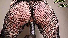 Pawg Teases in Black Tights Before Dildo Ride