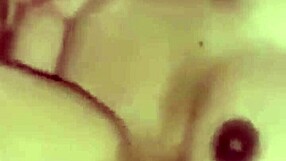 ebony latina prostitute rides big cock deepthroat to orgasm in homemade anal assfucking