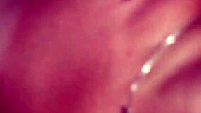 Watch Huge Cumshot Blast Across Massive Tits From Monster Cock