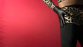 exibição de striptease sensual com curvas provocantes dançando sedutoramente