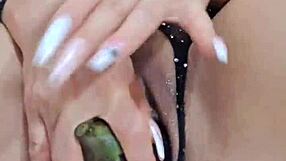 damn, sexy chica fingers pussy and fucks it with huge eggplant!